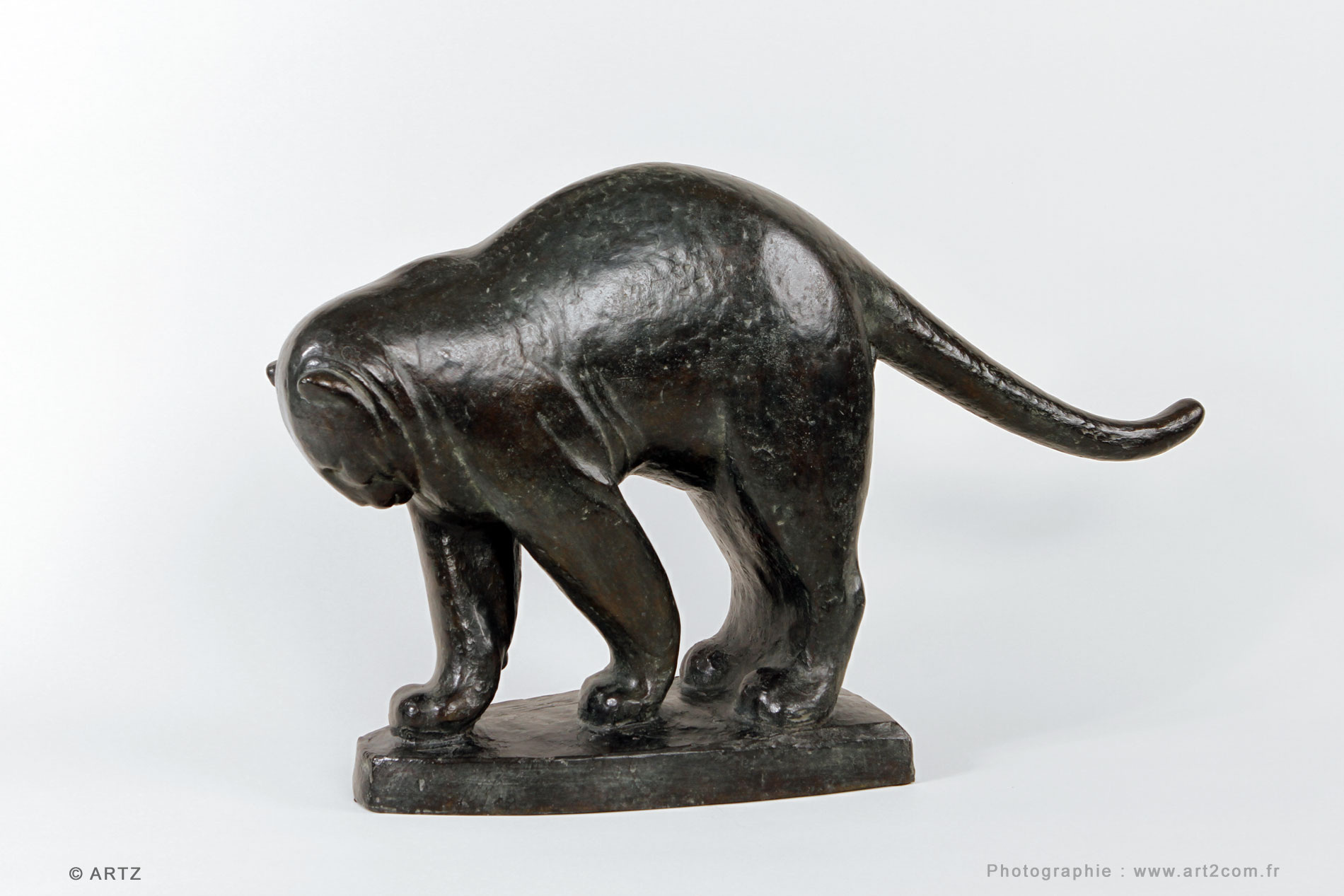 Panther N.R.BRUNET