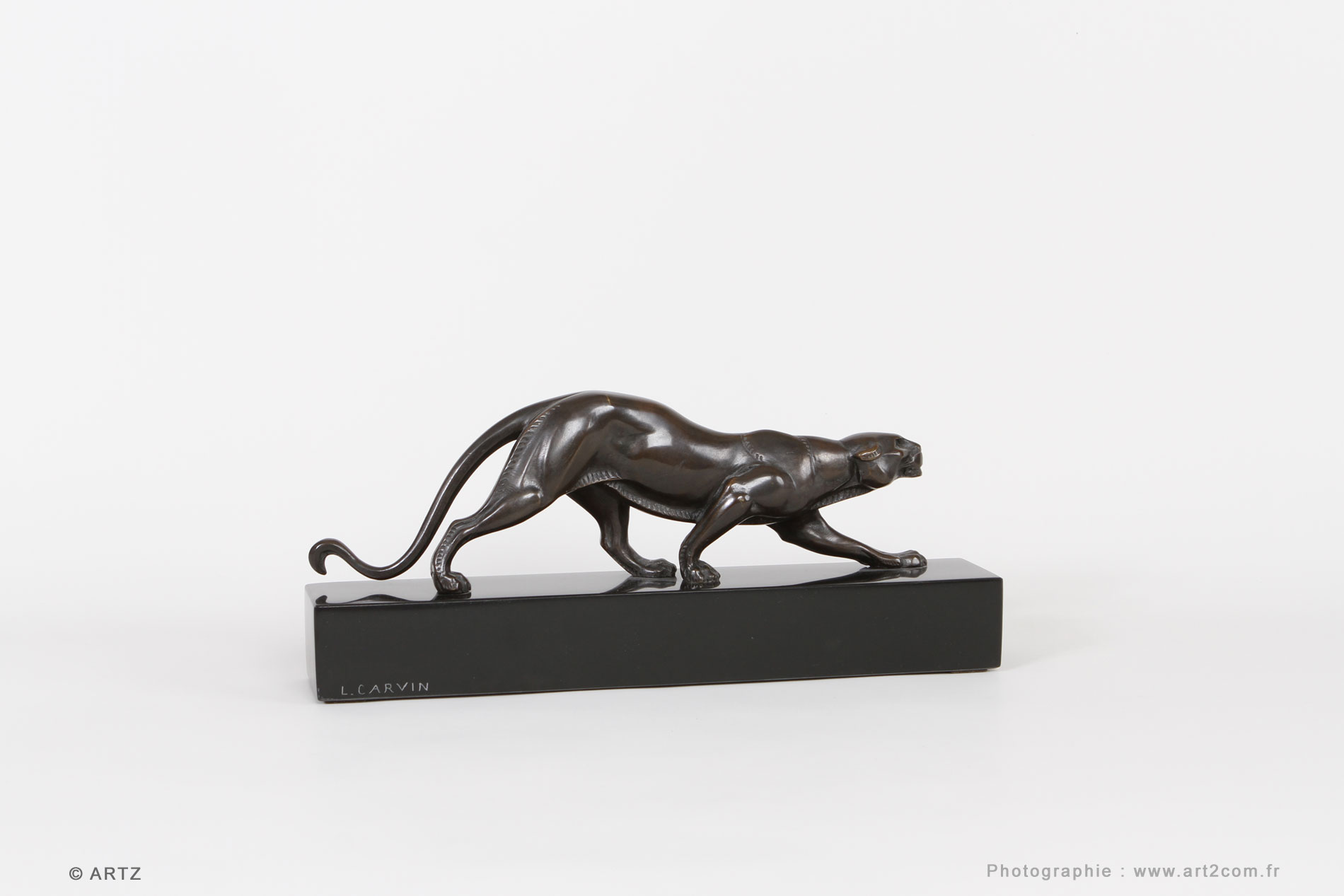Panther CARVIN