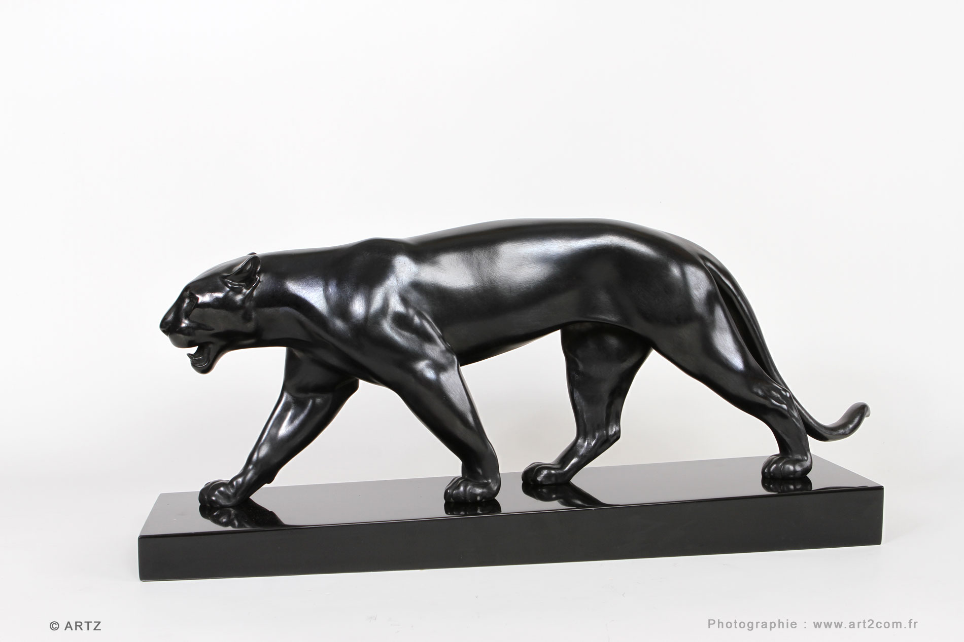 Panther MAX LE VERRIER