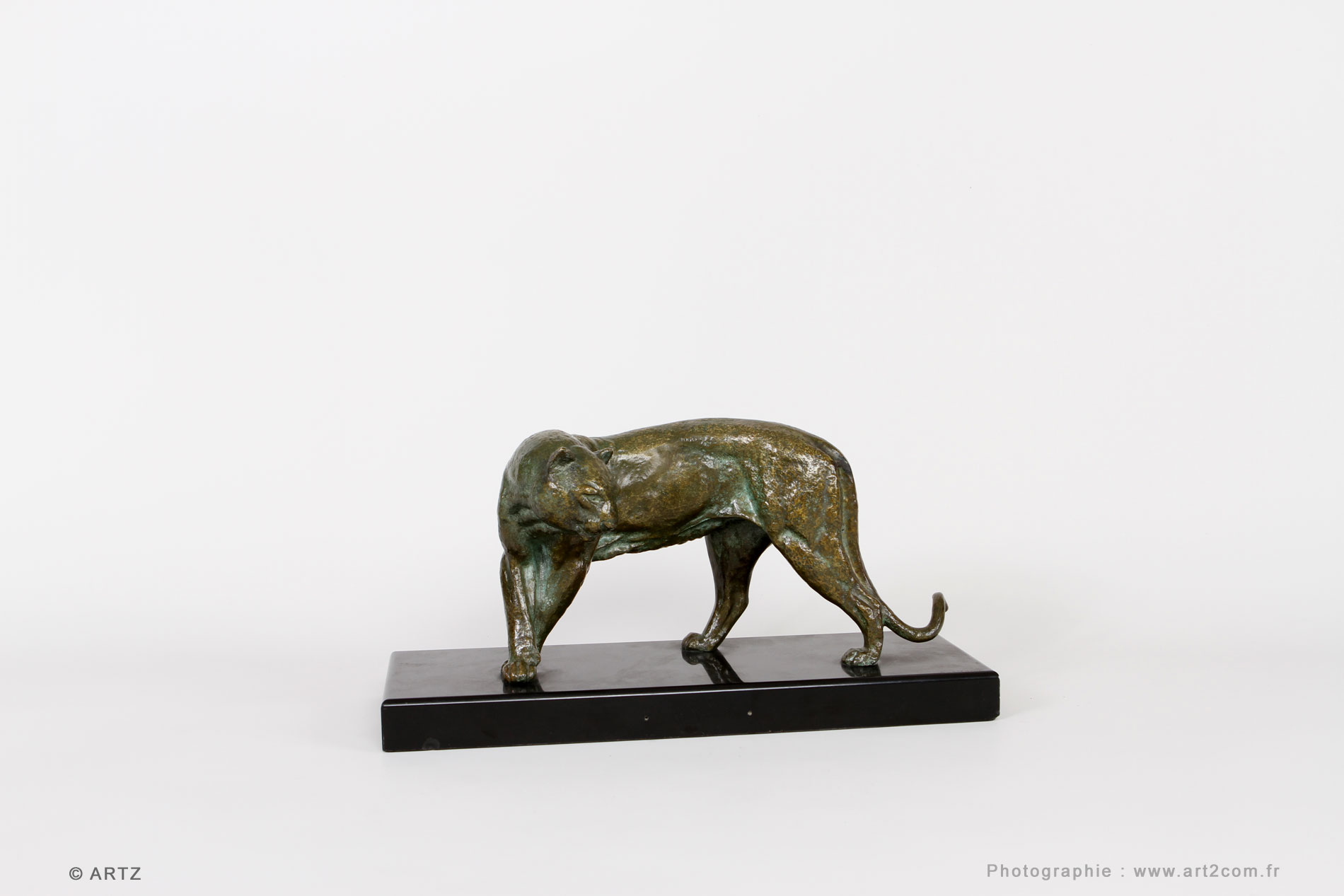 Panther I.ROCHARD