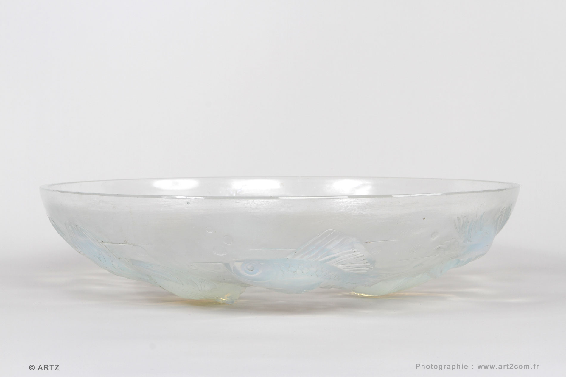 Cup SABINO