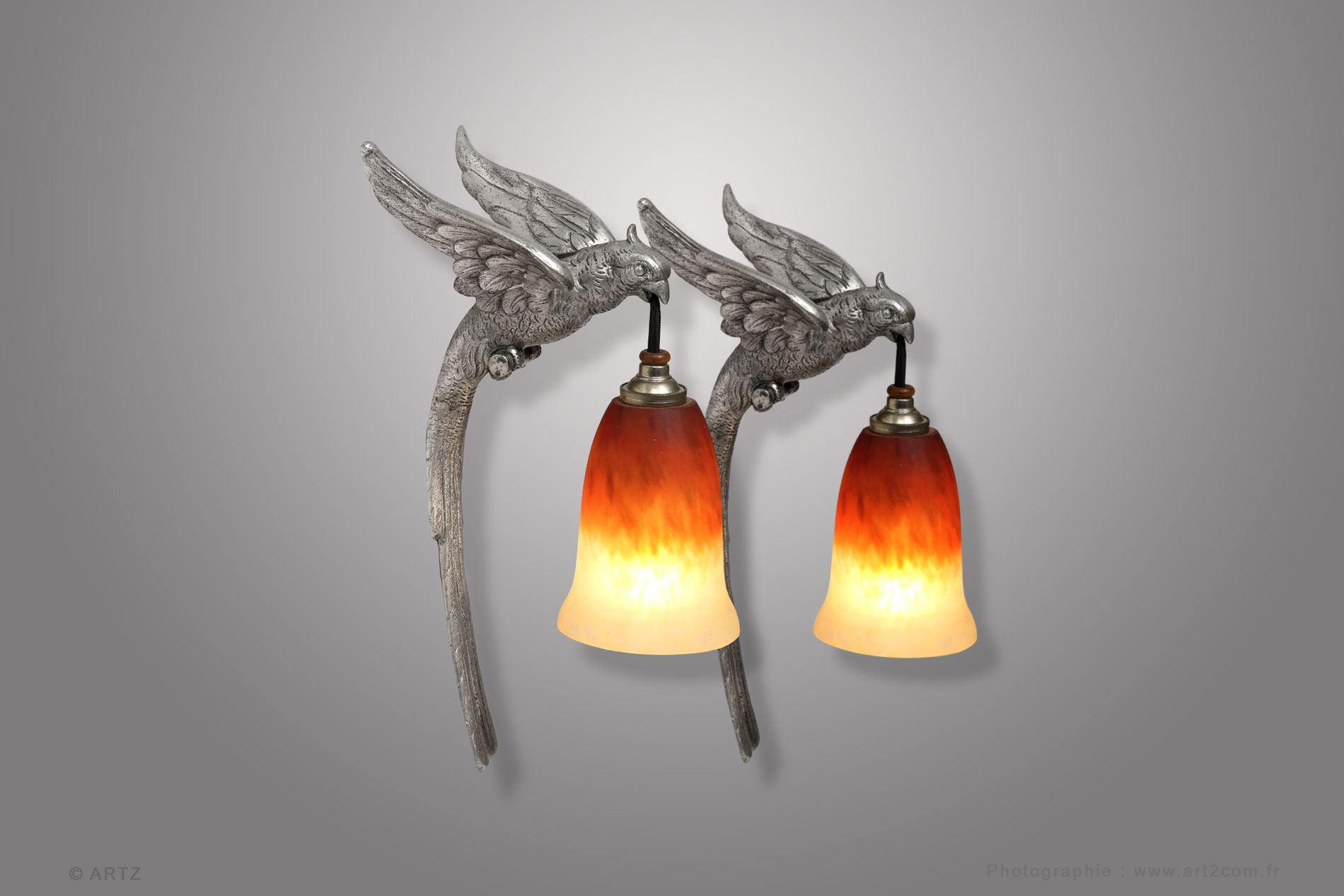 Appliques SCHNEIDER / RANC