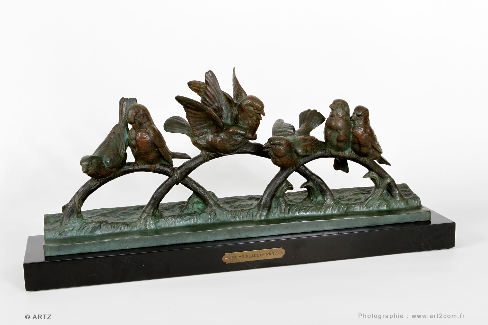 Bronze CARVIN
